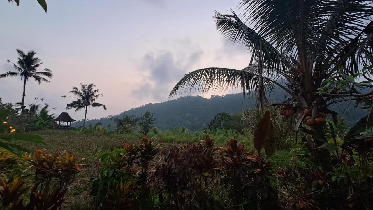 The Bukit Artha Bed and Breakfast Karangasem Eksteriør billede